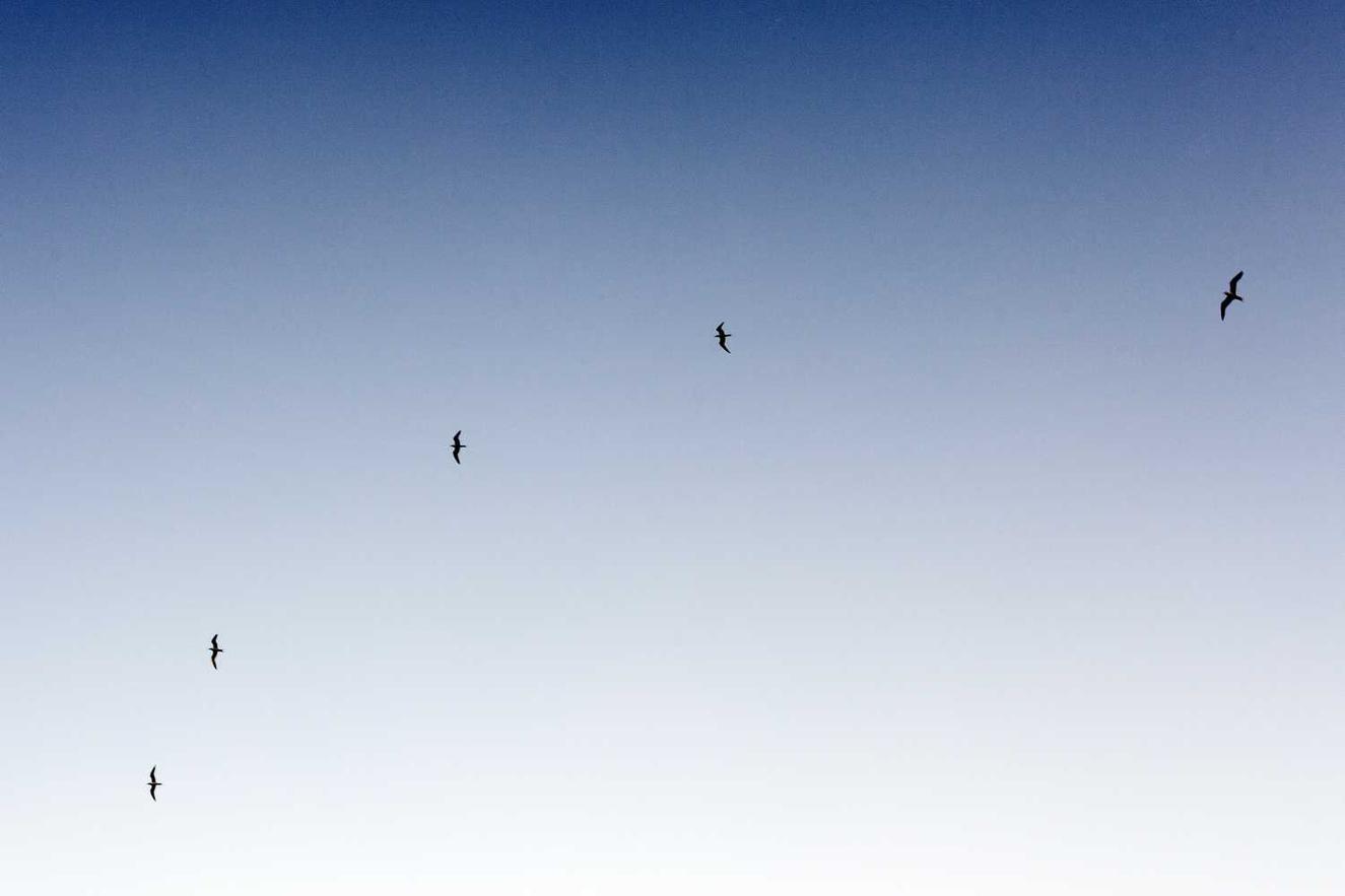 Earum ratione quod dolore non soluta voluptatem